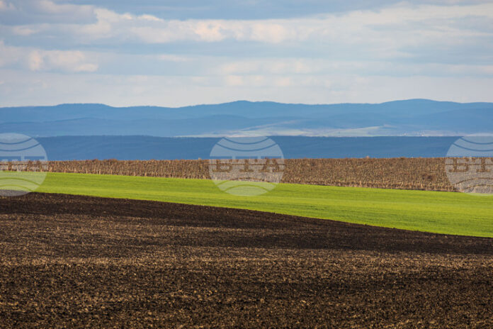 Проект на Закон за изменение и допълнение на Закона за подпомагане на земеделските производители е публикуван за обществено обсъждане, съобщиха от МЗХ