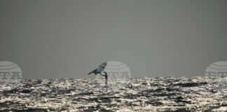 Рекордно високи температури бяха отчетени в Израел