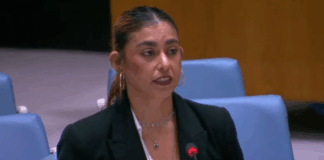 Илана Грицевски пред Съвета за сигурност на ООН