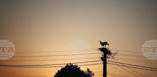 Сметките за ток за бита: Как работи новият механизъм за подпомагане на потребителите у нас