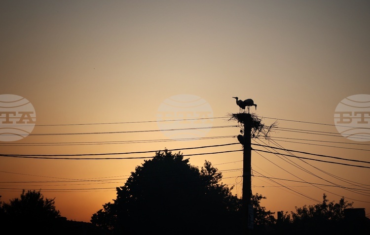 СподелиНовият механизъм внесен чрез изменения в Закона за енергетиката кодира