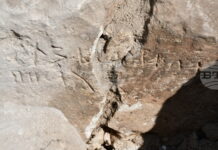 Старобългарски надпис е сред значимите открития при проучванията на Никополската крепост през това лято