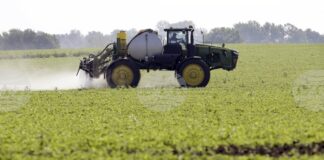 Сушата води до рязко увеличаване на отглеждането на соя в Германия, отчита "Дестатис“