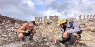 Нова уникална находка в археологическия сезон: Откриха костите на воин аристократ от II в. пр. Хр.