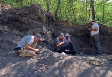 аст от екипа на експедицията (от ляво надясно): доц. Дочо Дочев, ас. Владимир Николов, проф. Марлена Янева и Георги Севов/НПМ-БАН
