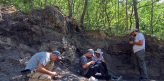 аст от екипа на експедицията (от ляво надясно): доц. Дочо Дочев, ас. Владимир Николов, проф. Марлена Янева и Георги Севов/НПМ-БАН