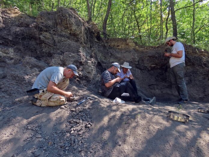аст от екипа на експедицията (от ляво надясно): доц. Дочо Дочев, ас. Владимир Николов, проф. Марлена Янева и Георги Севов/НПМ-БАН аст от екипа на експедицията (от ляво надясно): доц. Дочо Дочев, ас. Владимир Николов, проф. Марлена Янева и Георги Севов/НПМ-БАН