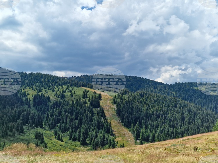 СподелиДнешните туристически условия в планините са благоприятни Това съобщиха от