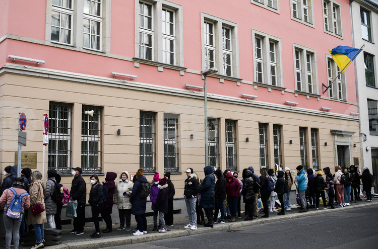 СподелиСпоред проучване на мюнхенския институт Ифо украинските бежанци отдават предпочитание