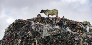 Всяка година на боклука попадат дрехи, които могат да запълнят 200 футболни стадиона, посочва в свой анализ "Бостън кънсълтинг груп"