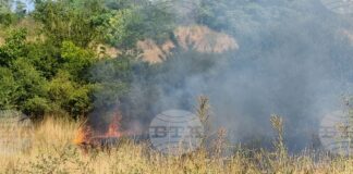 Затворен за движение е пътят от София към Варна поради пожар в района на местността Боаза