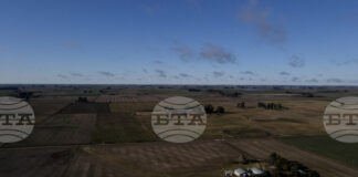 Аржентина премахва износните мита върху зърното, за да си осигури по-голям достъп до долари