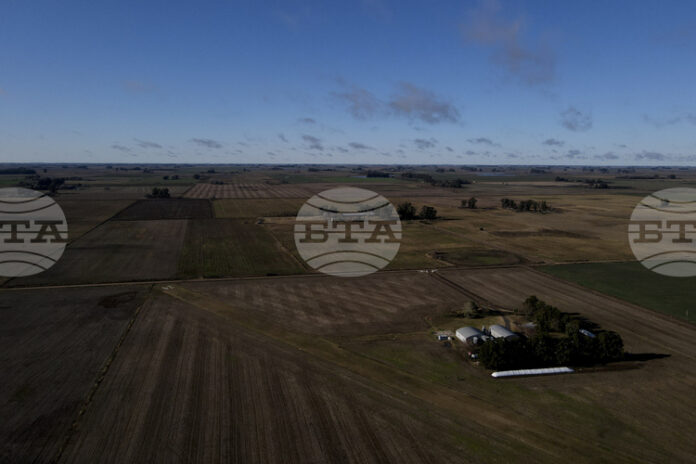 Аржентина премахва износните мита върху зърното, за да си осигури по-голям достъп до долари