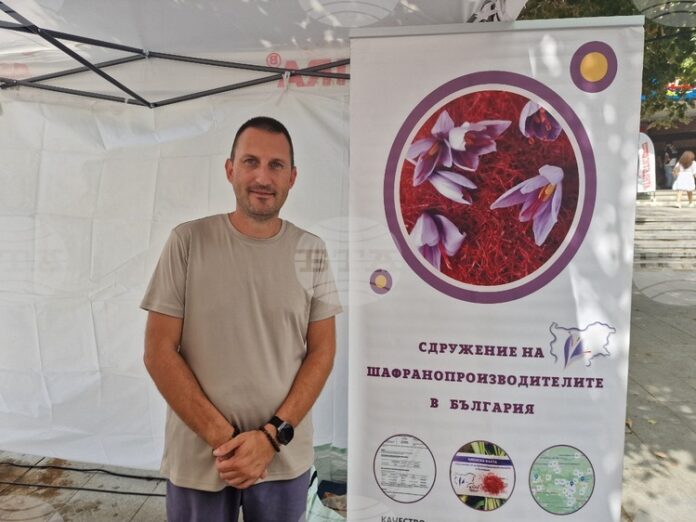Българският шафран е в топ 3 по качество в света, каза пред БТА Антонио Бонев, председател на Сдружение на шафранопроизовдителите в България