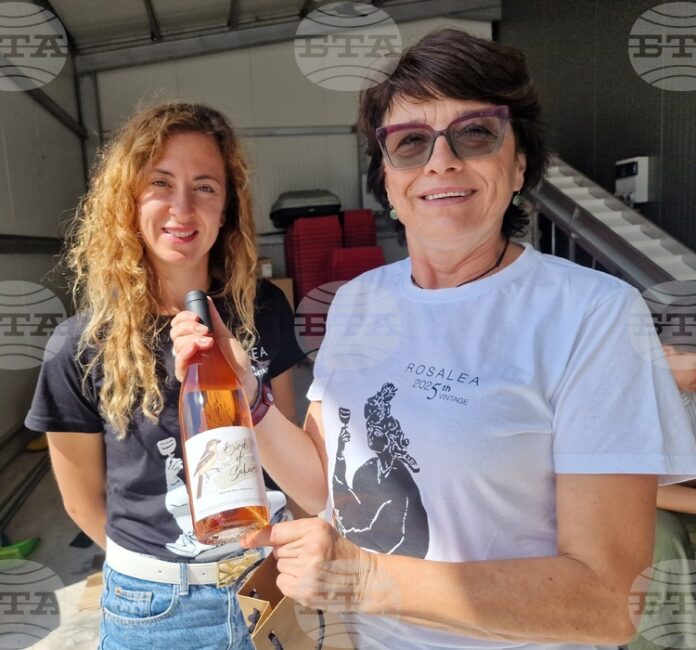 Чешки инвеститори развиват традициите на винопроизводството в харманлийската изба "Росалеа"