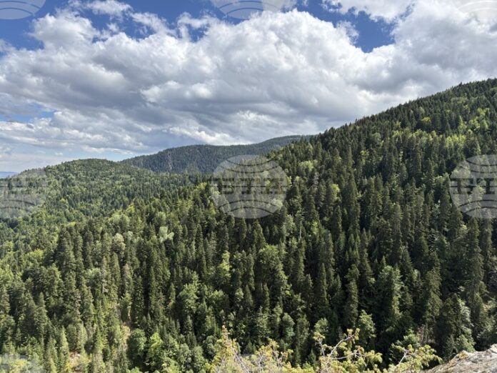 Добри са условията за туризъм в планините, но следобед се очаква заоблачаване, съобщиха от Планинската спасителна служба