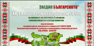 Двадесети юбилеен национален събор за опазване на местните български селскостопански породи животни ще се проведе в Калофер