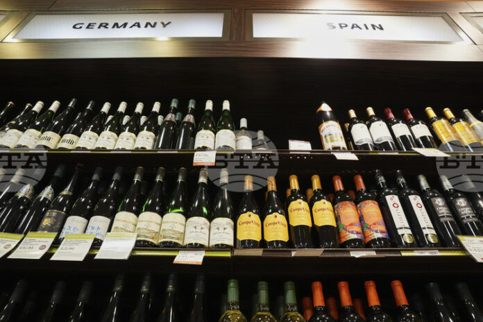 Германските лозари се изправят пред тежка криза въпреки отлична реколта