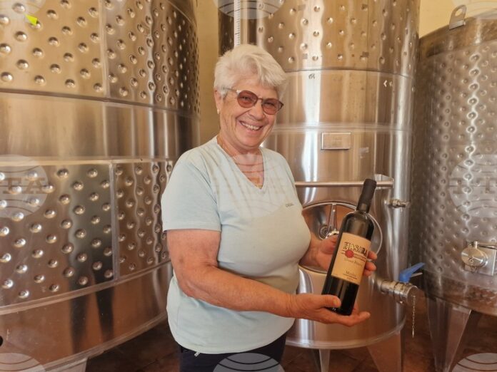 Изба "Хотул бунар" в Горско Ново село произвежда около 40 000 литра вино годишно, но цели покачване на количествата и разширяване на пазарите