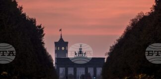 Крайнодясната партия "Алтернатива за Германия" оглави анкета на института ИНСА с рекордно ниво на подкрепа