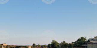 Областната епизоотична комисия в Пазарджик заседава извънредно след констатирано огнище на шарка по овцете в селата Овчеполци и Динката