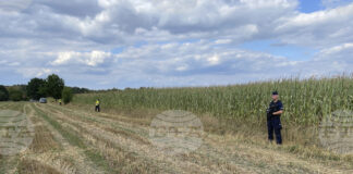 ОБНОВЕНА
                                                                                                Неидентифициран обект, вероятно дрон, падна в Източна Полша, съобщи частната полска радиостанция Ер Ем Еф Еф Ем