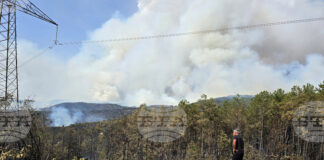 Около 46 125 декара са засегнати от пожара в Илинденци, който пламна в края на юли, каза за БТА Иван Ризов, директор на горското в Струмяни