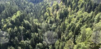 Планински спасители са помогнали на двама туристи в Рила вчера, съобщиха от Планинската спасителна служба