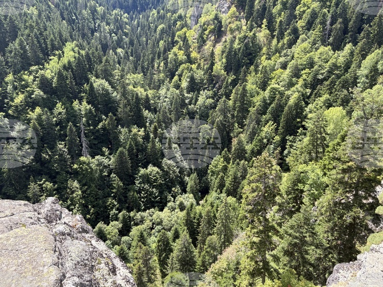 СподелиСпасителите от планинска служба Боровец оказаха помощ на турист с