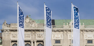 РАЗШИРЕНА
                                                                                                Парламентарните избори в Молдова бяха конкурентни, но помрачени от сериозна чуждестранна намеса, заявиха международните наблюдатели от ОССЕ