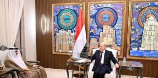 САБА: Председателят на Президентския съвет на Йемен изказа признателност за помощта на ОАЕ за енергийния сектор на страната