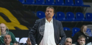 Селекционерът на националния тим по баскетбол на Турция Ергин Атаман: "Тук сме, за да спечелим медал"