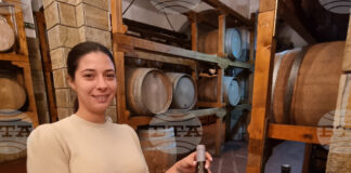 Шато "Ветровитите хълмове" край Сливен започва цялостна модернизация на базата и подновяване на лозята