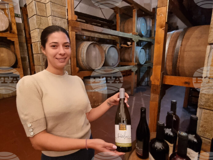 Шато "Ветровитите хълмове" край Сливен започва цялостна модернизация на базата и подновяване на лозята