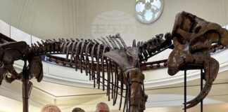 Телевизионен екип на CNN подготвя филм с проф. Христо Пимпирев