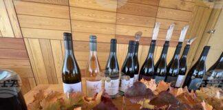 Във винарна KAPATOVO Family Estate се произвеждат вино и ракия с марката "Капатово"