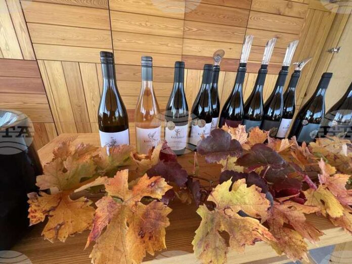 Във винарна KAPATOVO Family Estate се произвеждат вино и ракия с марката "Капатово"