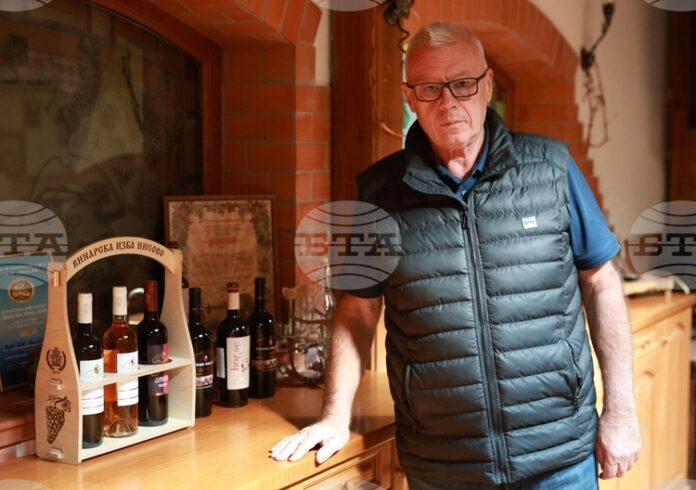 Винарска изба "Райнов и синове" в Русенско планира производството на нови три вида вино