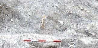 Антични гробни съоръжения са открити при ремонта на парк "Пети октомври" в Стара Загора