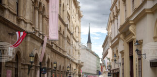 Чрез предоговаряне на увеличенията на заплатите на държавните служители Австрия ще спести 310 милиона евро догодина