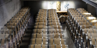 Деветата Глобална конференция за винен туризъм на Световната организация по туризъм на ООН ще бъде официално открита днес в Пловдив