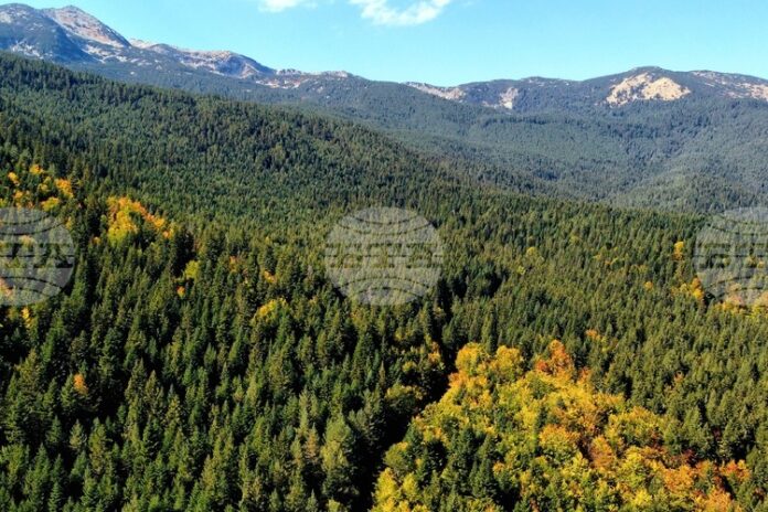 Добри са условията за туризъм в планините, от ПСС призовават туристите да тръгват със заредени телефони