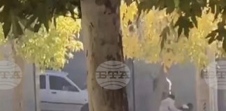 Двама членове на Корпуса на гвардейците на Ислямската революция бяха убити при сблъсъци с бунтовници