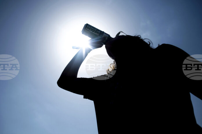 Големи германски пивоварни повишават цените на бирата