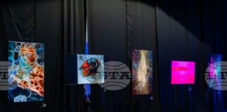 Групова изложба, посветена на връзката между съвременното изкуство и блокчейн културата, се проведе в София