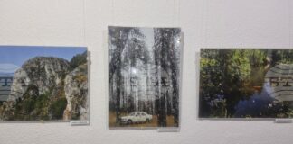 Кино-фотоклуб „Орфей“ в Смолян отбелязва 65-ата си годишнина с изложба на най-младото поколение фотографи