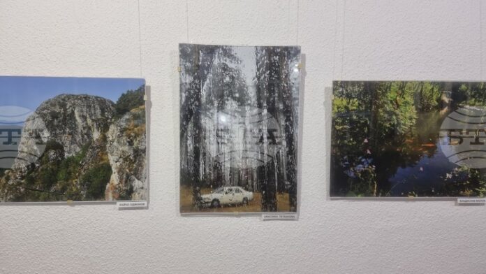 Кино-фотоклуб „Орфей“ в Смолян отбелязва 65-ата си годишнина с изложба на най-младото поколение фотографи