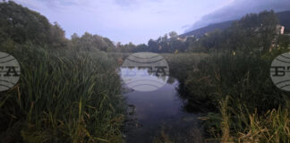 Комисията по устройство на територията, архитектура и жилищна политика в Столичния общински съвет обсъди казуса за Боянското блато