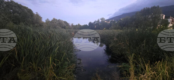 Комисията по устройство на територията, архитектура и жилищна политика в Столичния общински съвет обсъди казуса за Боянското блато