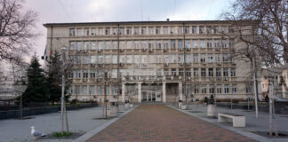 Кръвната проба на пилота Нейко Нейков е отрицателна за наркотици